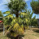 La Maison Provencale Privat bolig Unieux