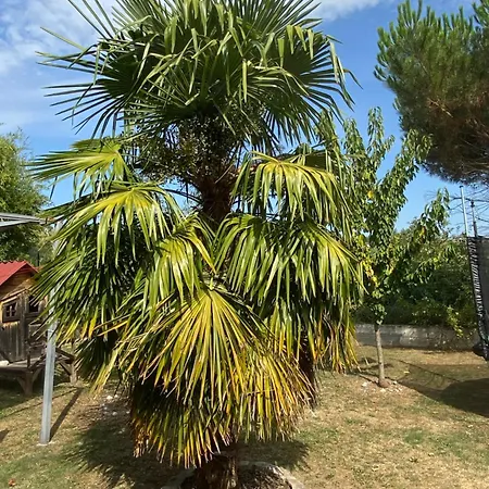 La Maison Provencale منزل للإقامة Unieux