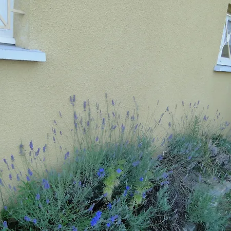 La Maison Provencale *